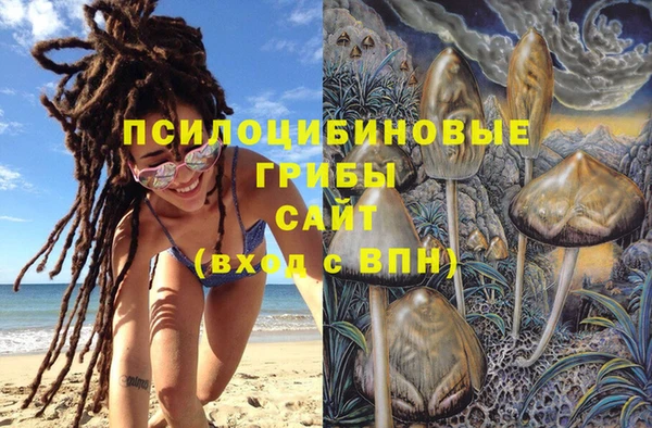 МДПВ Алексеевка