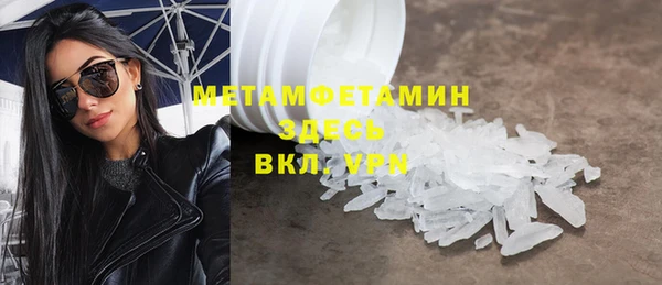 шишки Надым