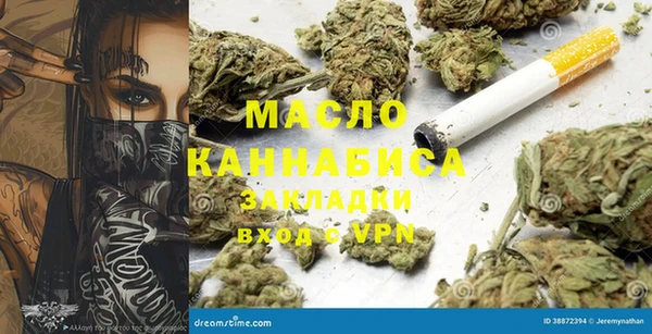 шишки Надым