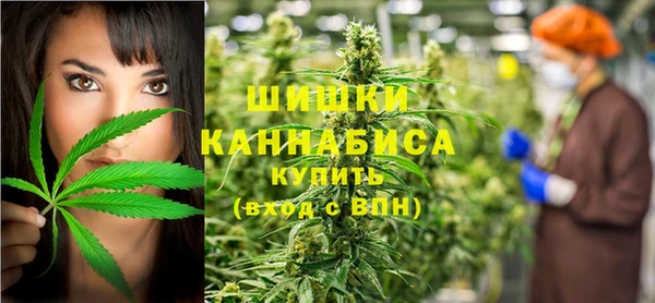 СК Алзамай