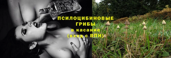 МДПВ Алексеевка