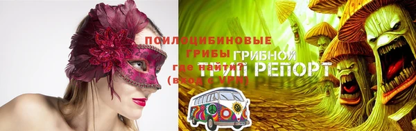 СК Алзамай