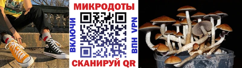 Галлюциногенные грибы ЛСД  купить   Шатура 